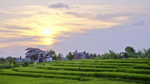 Paddy View Villa Alentours