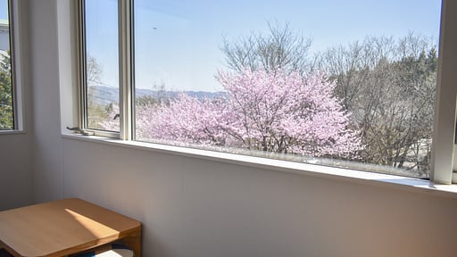 Panorama Apartment Others 