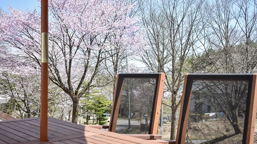 Panorama Apartment Others 