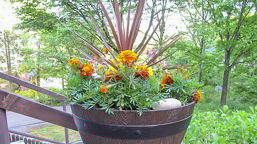 Panorama Apartment Others 