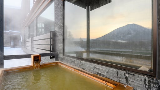 Panorama Niseko 1 Others 