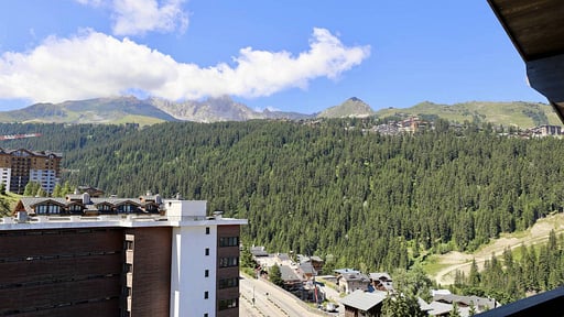 Penthouse le Grizzli Others