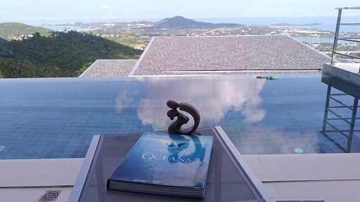 Perfect Villa Zwembad