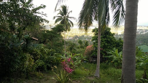 Perfect Villa Others