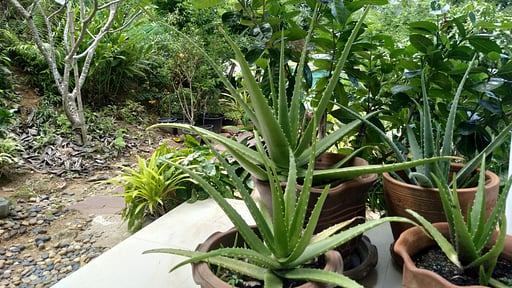 Perfect Villa Others