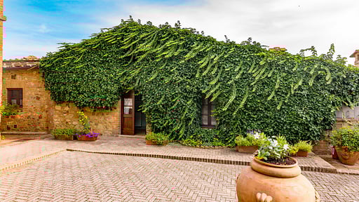 Villa Podere Bagnolo Surroundings