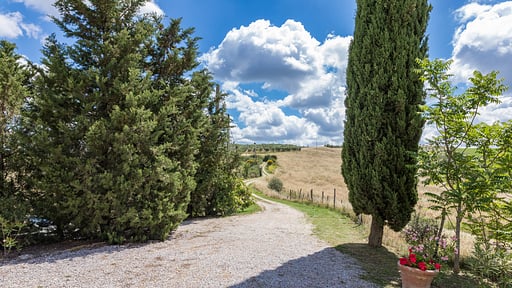 Podere Casello Others