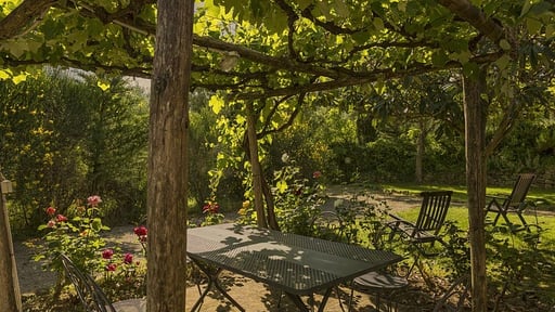 Podere La Casetta Loggia Autres