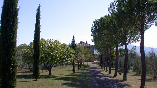 Villa Podere L'orsa Orsa Maggiore Others 