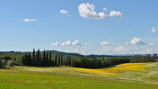Podere Marcigliana -  Apartment Podere Umgebung