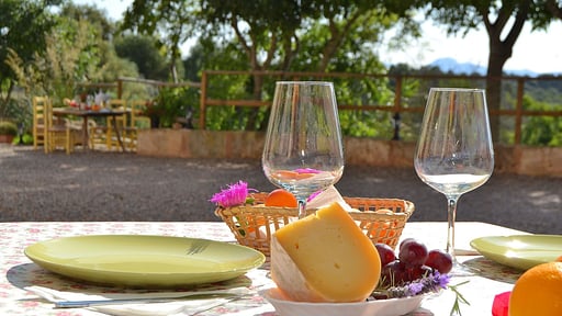 Villa Rafal des Turó Dining area