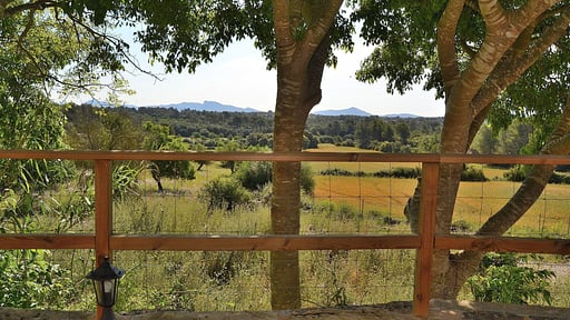 Villa Rafal des Turó Surroundings