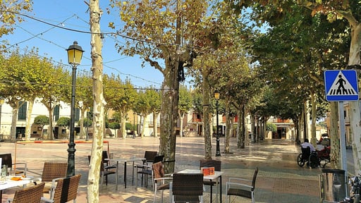 Villa Rafal des Turó Surroundings