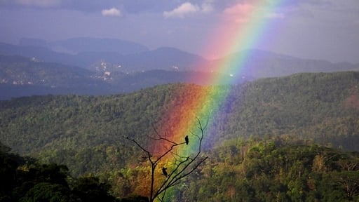 Rangala House Others