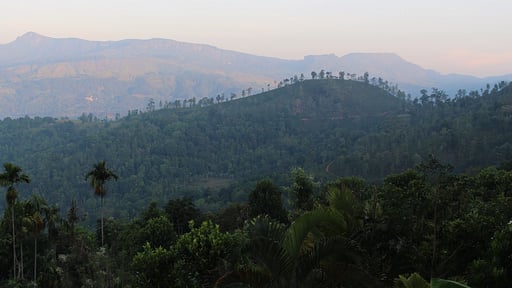 Rangala House Others