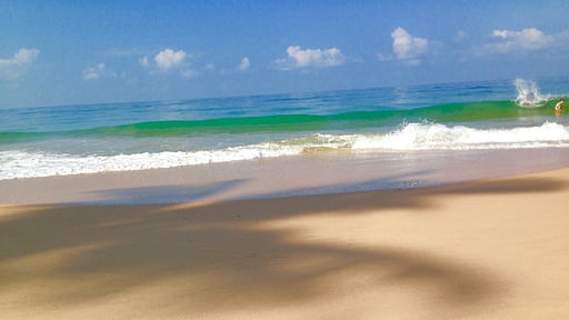 Red Parrot Beach Villa Strand