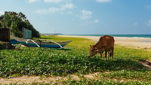 Red Parrot Beach Villa Strand