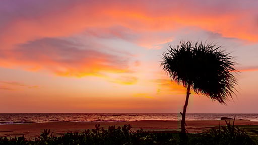 Red Parrot Beach Villa Strand