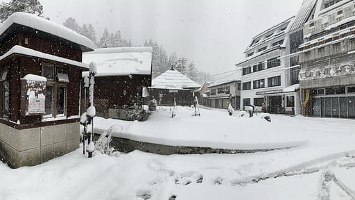 Residence Yasushi Lodge