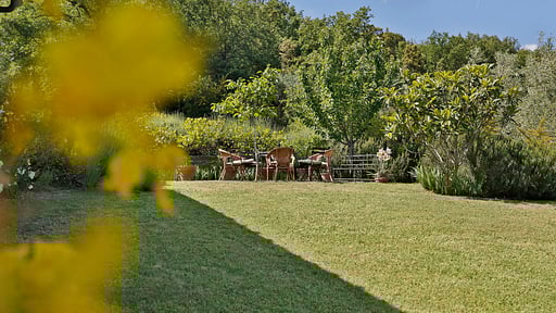 Villa Ricavoli Surroundings