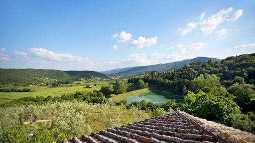 Villa Ricavoli Surroundings