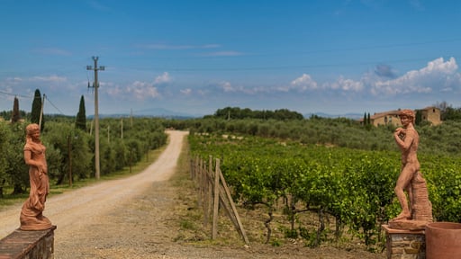 Robinia Apartment Surroundings