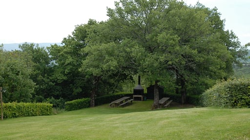 Robinia Apartment Garden