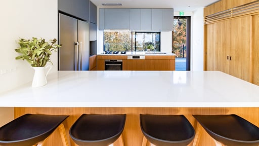 Roka Penthouse Kitchen
