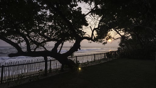 Royal Indigo Villa Garden