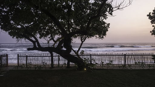 Royal Indigo Villa Garden