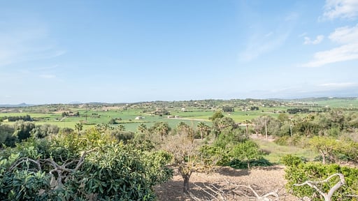 Villa Sa Caseta des Padrí Окрестности