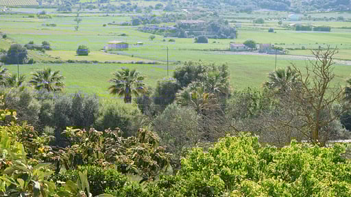 Villa Sa Caseta des Padrí Окрестности