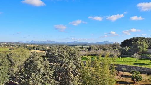 Sa Pleta de Son Monjo Autres