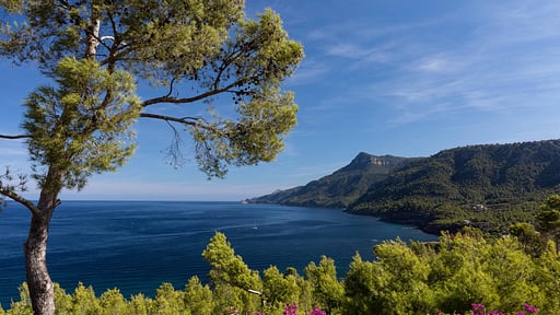 Sa Punta de S’Aguila Otros