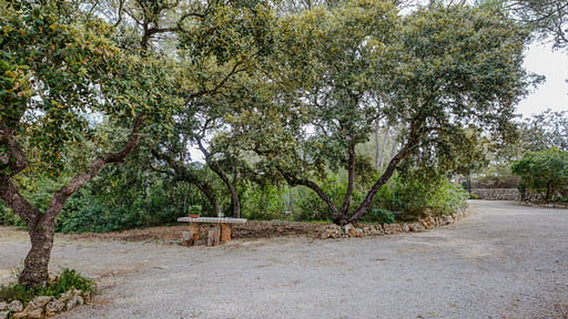 Sa Rota de Ca'n Blanc Others