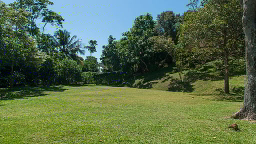 Saffron House Сад