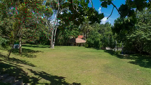 Saffron House Сад