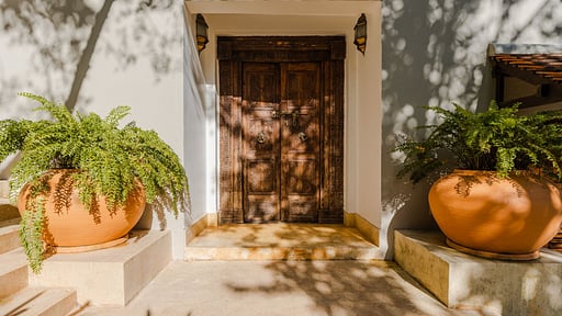 Saffron House Garden