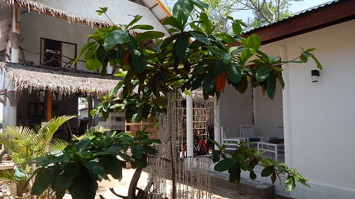 Villa Sahara Sands Others