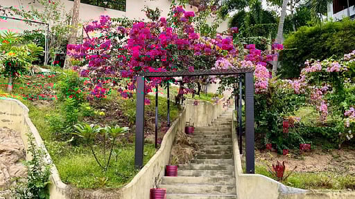 Samui Y Villa Others