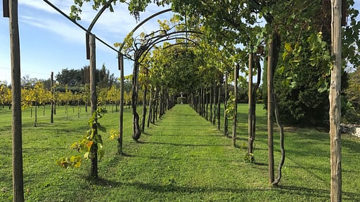 Villa San Giovanni Umgebung