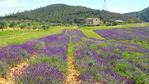Villa Santa Barbera Andere