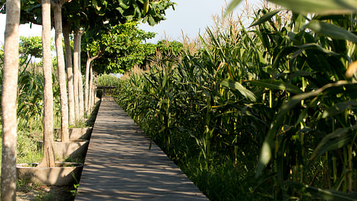 Sanur Residence Alentours