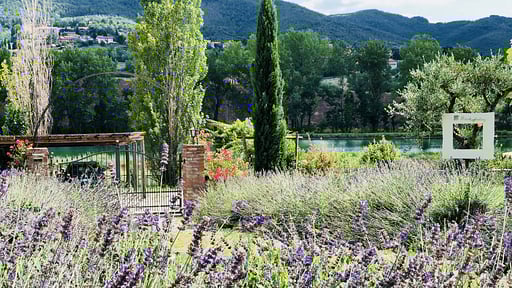 Sassicaia Garden