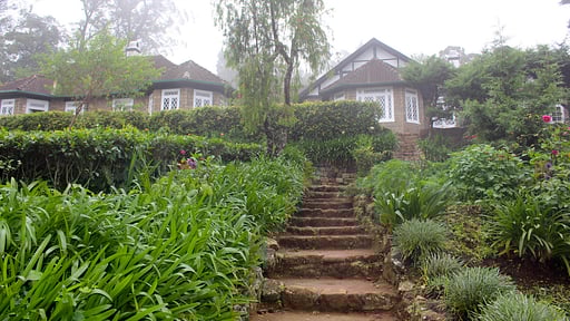 Scottish Planter Bungalow Сад