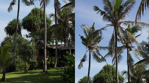 Sejuk Beach Villas - Kelapa Others