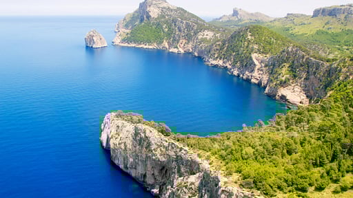 Molins 3 Прочее