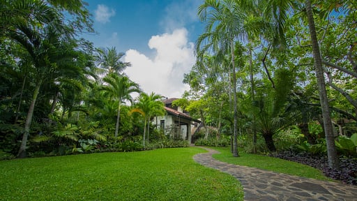 Sergeant House Garden