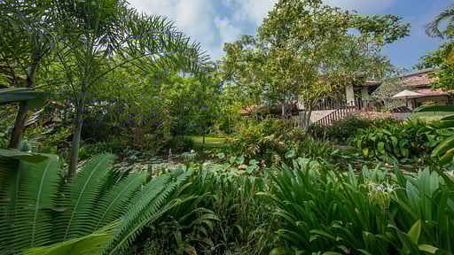 Sergeant House Garden