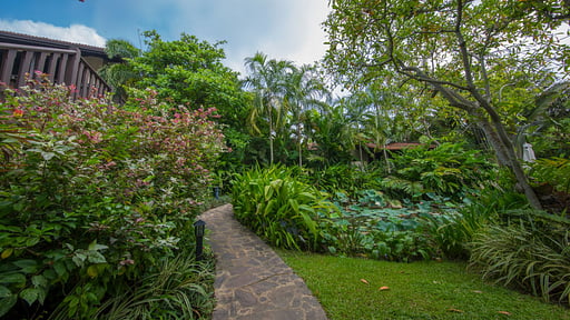 Sergeant House Garden